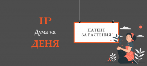 plant patent - bg