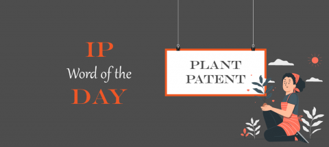 plant patent - en