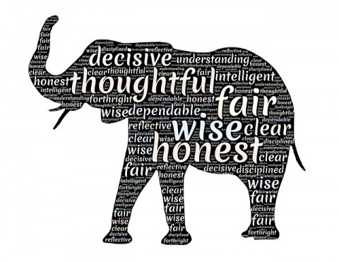 Elephant, words