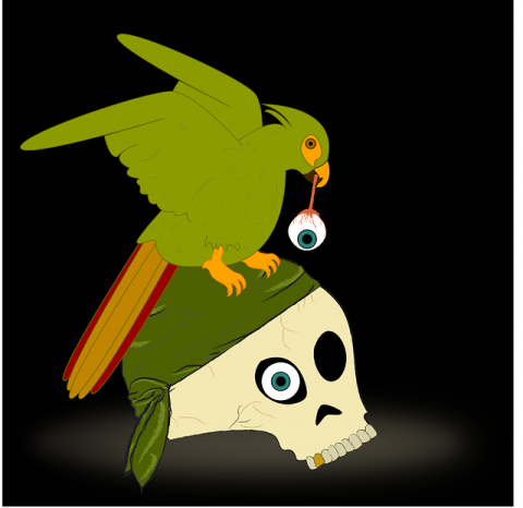 Skull and parrot