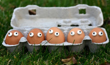 caixa de ovos