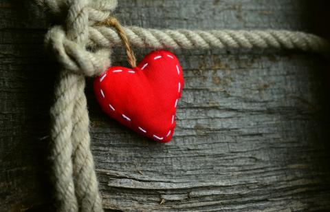 heart