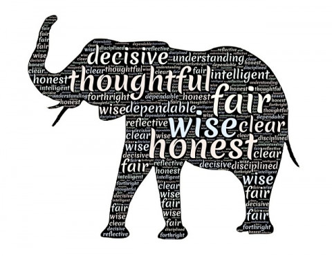Pixabay Elefante, palabras