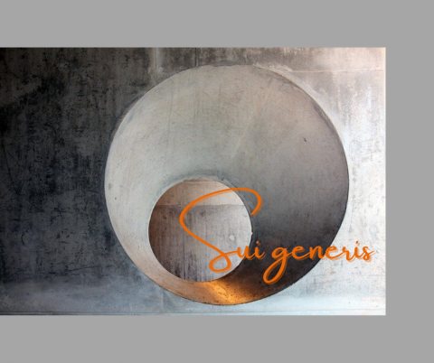 Pixabay Sui generis